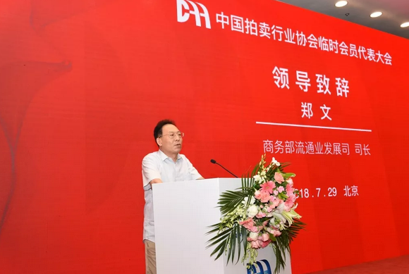 中拍协临时会员代表大会在京召开
